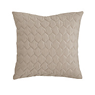 Cojín de terciopelo Naroa