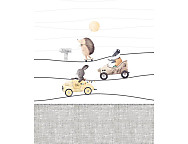 Bouti 100% Algodón Race